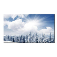 Snowy Firs Photo Canvas