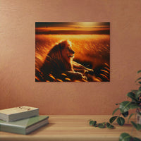 Lion qui soleil - Tableau aluminium