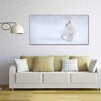Design Art Photo Snow Cat
