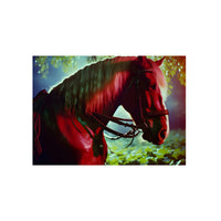 Cheval galop courage fou.- Tableau aluminium