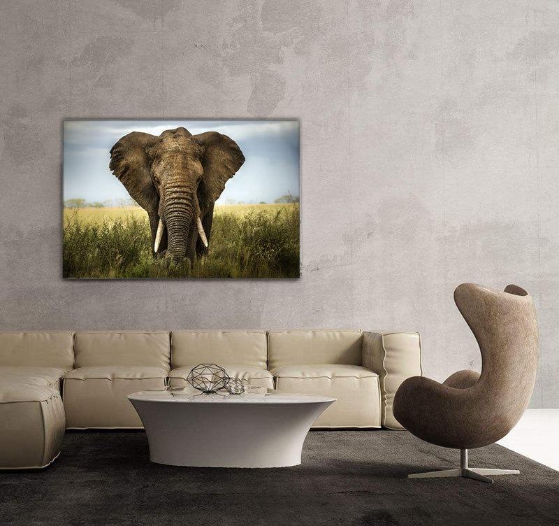 Photo d’Art Face à l'Eléphant