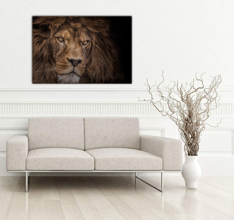 Nature Canvas Animal King