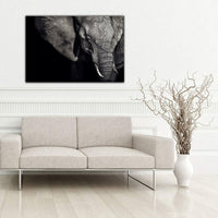 Elephant Eye Art Photo