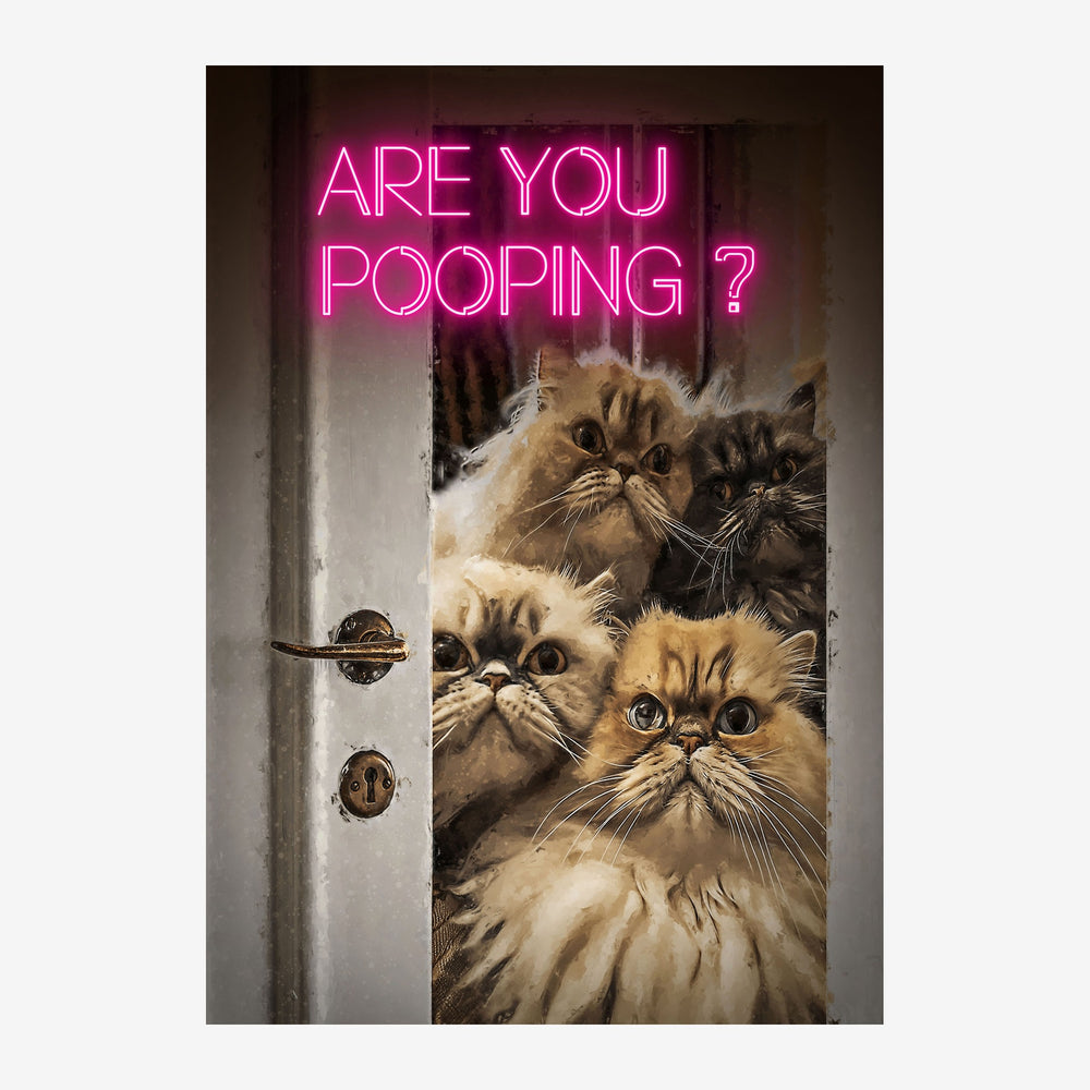 Quatre chats aux yeux écarquillés regardent par une porte entrouverte, avec un texte en néon rose fluo au-dessus disant «.