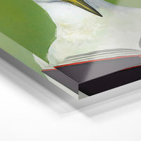 Gros plan de la matière : le tirage sous verre acrylique, tranche transparente visible.