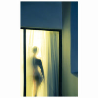 Art Photo nude through a window