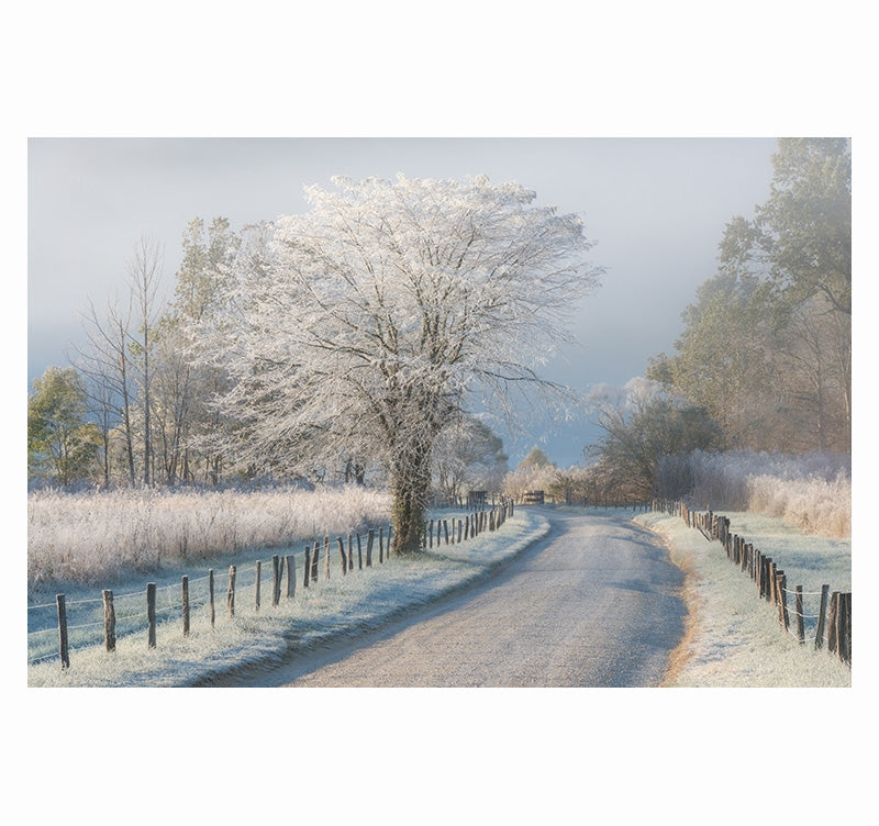 Route de campagne enneigée