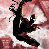 Poster Métal Black Spiderman