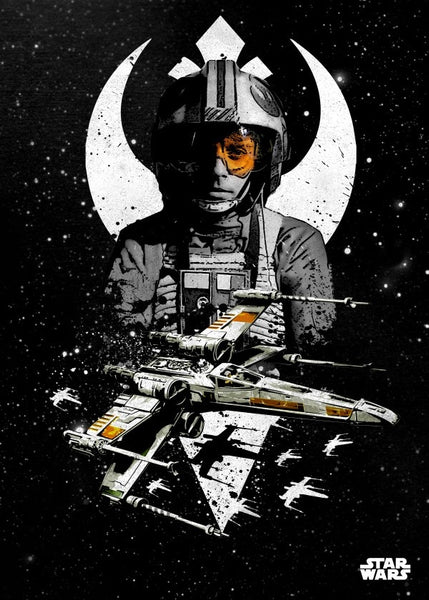 Luke Astorigin　ART POSTER 1/100 Star Wars A New Hope Luke Skywalker X-Wing Poster Print Art
