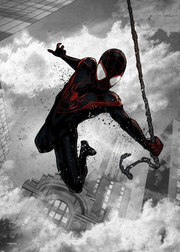 Black Spiderman Wall Poster