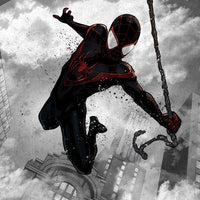 Black Spiderman Wall Poster