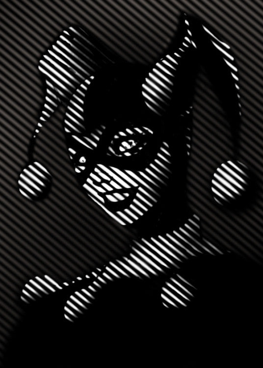 Poster Métallique Harley Quinn