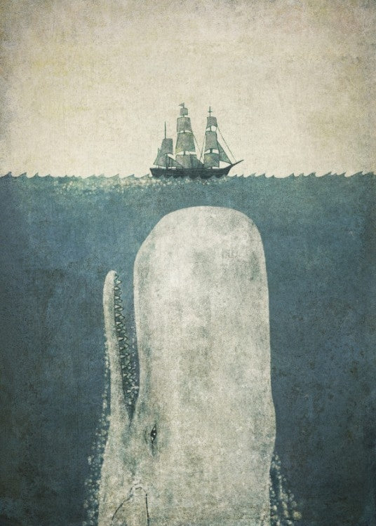 Poster Métal Baleine Blanche