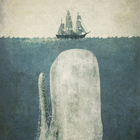 Poster Métal Baleine Blanche