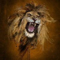 Poster Métal Fureur du Lion