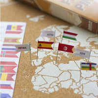 Pack of world pins flags