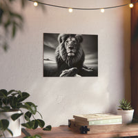 Lion calme de nuit- Tableau aluminium