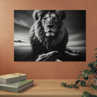 Lion calme de nuit- Tableau aluminium