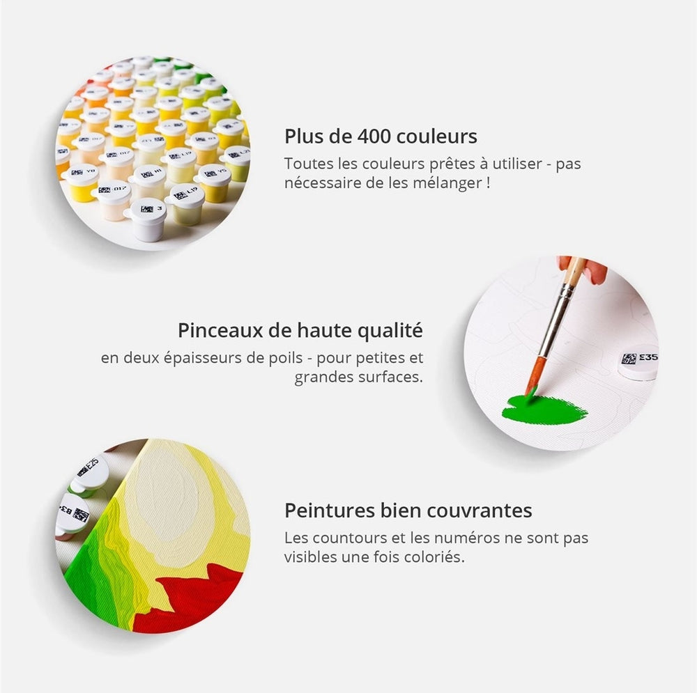 Peinture par numéro carte colorée