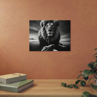 Lion calme de nuit- Tableau aluminium