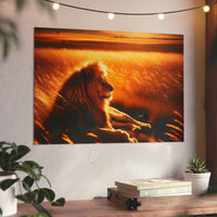 Lion qui soleil - Tableau aluminium