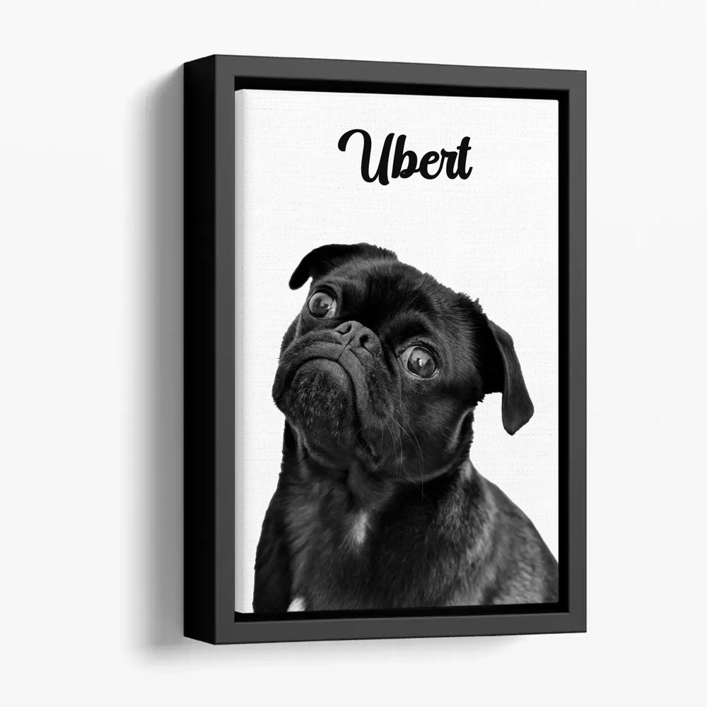 Animal Personnalisé