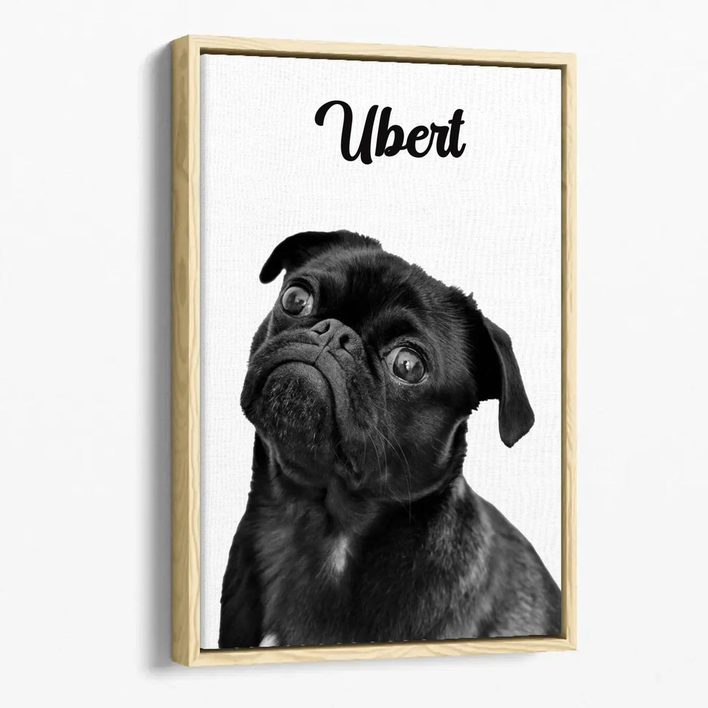 Animal Personnalisé