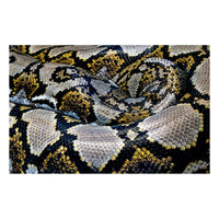 Photo d'art serpent jaune
