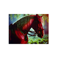 Cheval galop courage fou.- Tableau aluminium