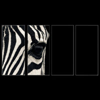 Zebra's Eye Modern Poliptych