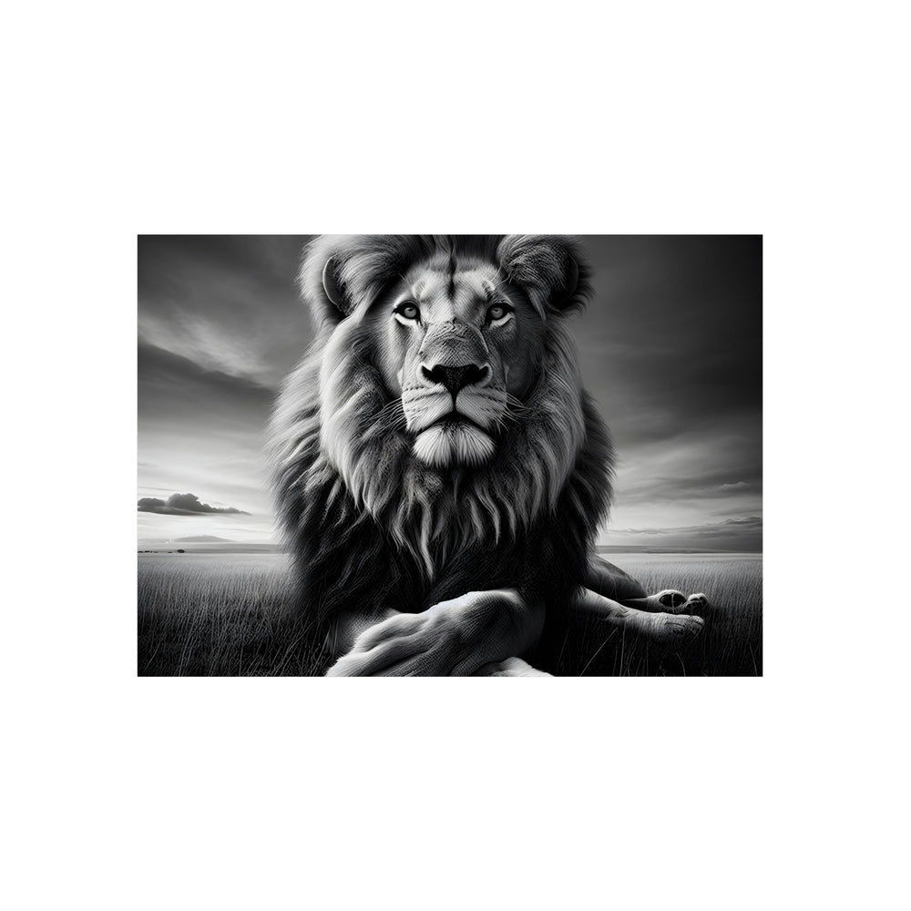 Lion calme de nuit- Tableau aluminium