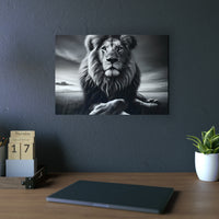 Lion calme de nuit- Tableau aluminium