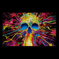 Skull Color Blast Pop Art Canvas