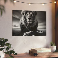 Lion calme de nuit- Tableau aluminium