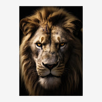Portrait rapproché d'un lion face à la caméra, aux yeux dorés, crinière brune et or, sur fond noir.