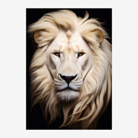 Portrait frontal d'un lion à crinière blanche et crème, aux yeux intenses, sur fond noir.