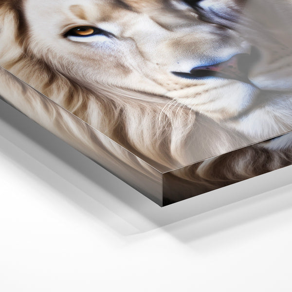 Lion blanc crème, crinière épaisse, regard frontal — Verre acrylique