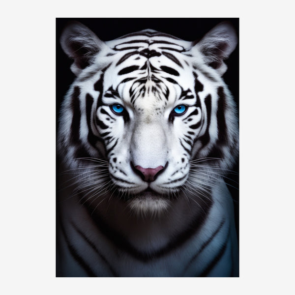 Tigre blanc aux yeux bleus, portrait minimaliste — Toile sur châssis