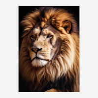 Portrait en gros plan d'un lion aux yeux clairs et à la crinière dorée, éclairé sur fond noir.