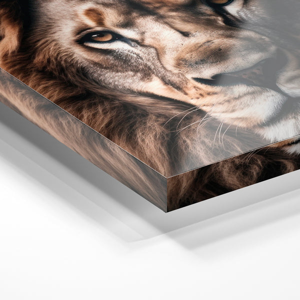 Lion face portrait regard intense brun or — Verre acrylique