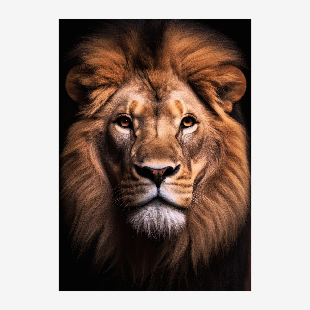 Portrait en gros plan d'un lion regardant vers l'avant, crinière dorée, sur fond noir.