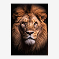 Portrait en gros plan d'un lion regardant vers l'avant, crinière dorée, sur fond noir.