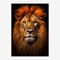 Portrait frontal d'un lion aux yeux d'ambre, crinière dorée et rousse voluptueuse, sur fond noir.
