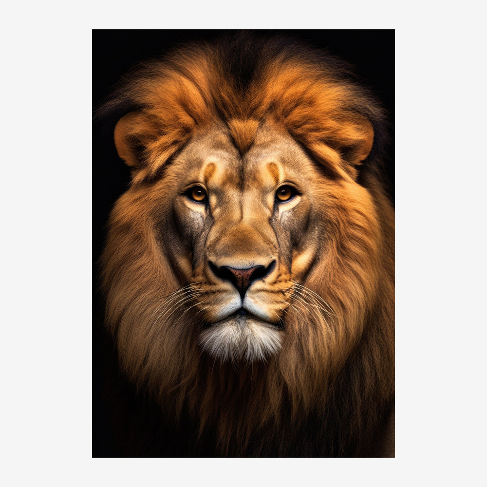 Portrait frontal détaillé d'un lion à crinière épaisse, avec des yeux jaune-ambre expressifs, sur fond noir.