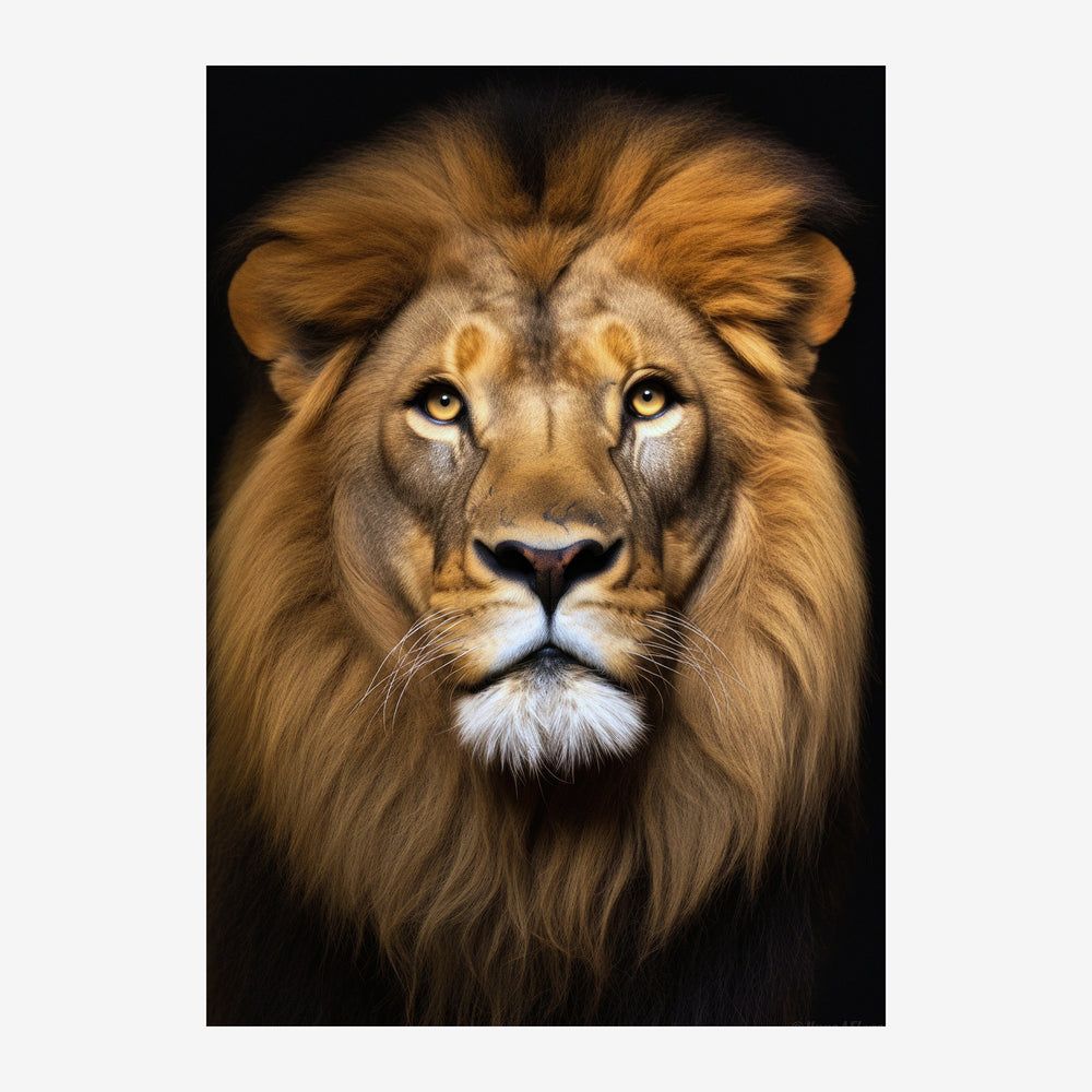 Portrait frontal d'un lion avec crinière dorée et beige, museau blanc, regard fixe vers l'avant, sur fond noir.