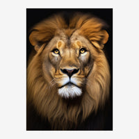 Portrait frontal d'un lion avec crinière dorée et beige, museau blanc, regard fixe vers l'avant, sur fond noir.