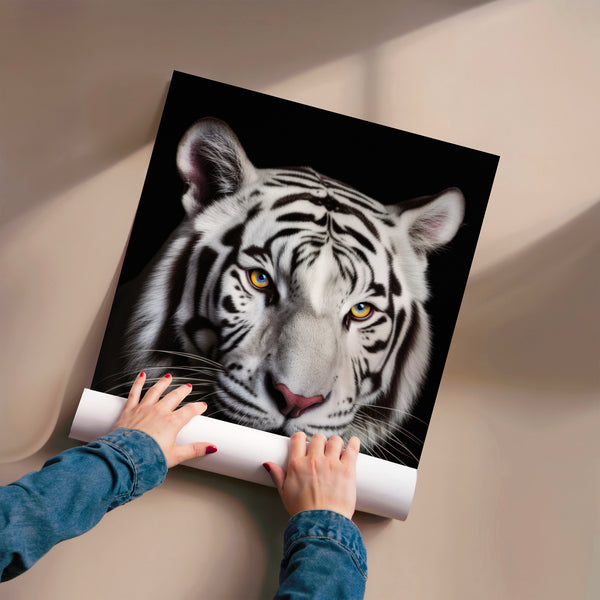 Tigre blanc aux yeux d'or, portrait noir et blanc — Poster HP mat