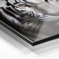 Gros plan du relief : la surépaisseur d'encre en lumière rasante sur aluminium Dibond.