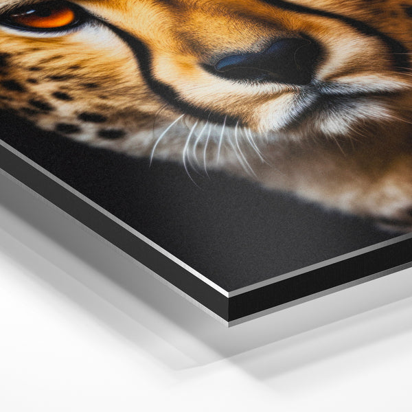 Portrait de léopard aux yeux d'or et noir — Aluminium Dibond
