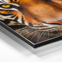Gros plan de la matière : le tirage contrecollé sur aluminium Dibond mat, tranche visible.